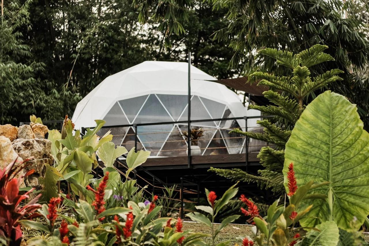 Luxury tent 150 Peakway Mountain