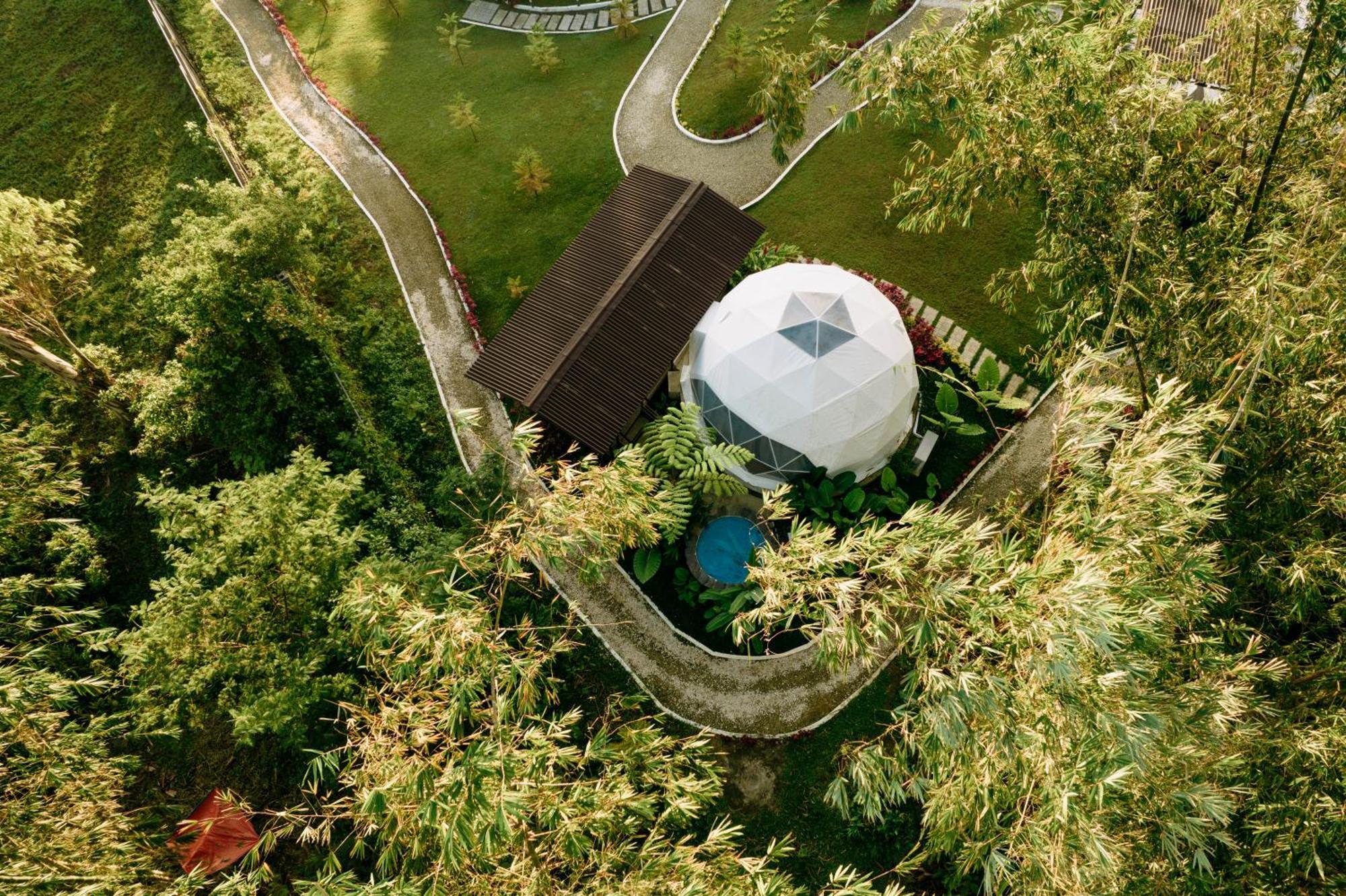 150 Peakway Mountain Dalaguete